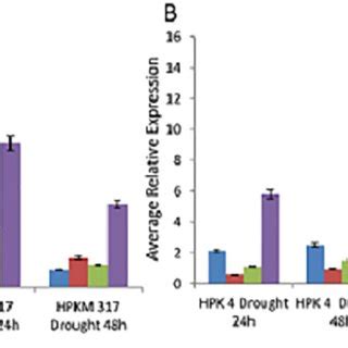 Validation Of Reference Genes Under Drought Stress Conditions Relative