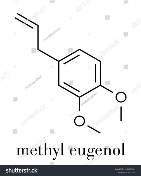 Methyl Eugenol Molecule Skeletal Formula Stock Vector (Royalty Free ...