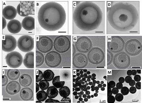 Metal Semiconductor Hybrid Nanocrystals And Synergistic Photocatalysis