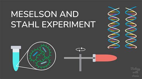 The Meselson And Stahl Experiment Understanding Dna Replication Youtube