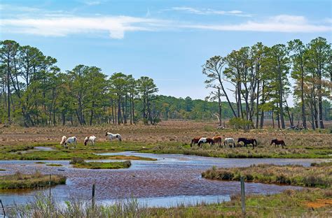 Assateague Island Worldatlas