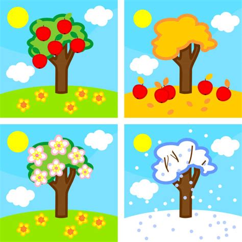 30 Apple Tree Life Cycle Stock Illustrations Royalty Free Vector Graphics And Clip Art Istock