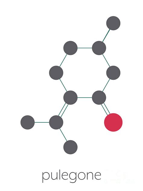 Pulegone Molecule Photograph By Molekuul Science Photo Library