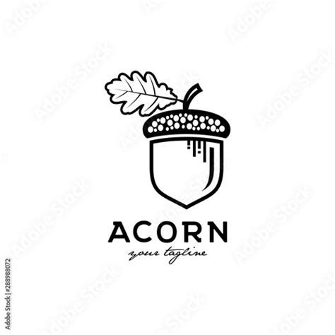 Acorn Logo Design