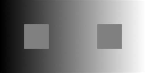 Grey Square Illusion Both Squares Are Exactly The Same Shade 50