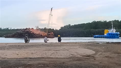 Penampakan Kapal Tongkang Pengangkut Kayu Logging Menyebrangi Sungai