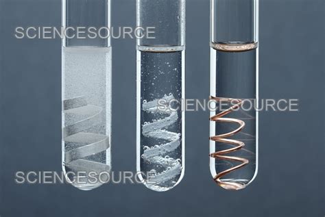 Metal reactivity | Stock Image - Science Source Images