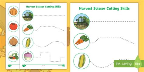 Harvest Themed Cutting Skills Worksheet Activity Sheets