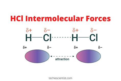 HCl Intermolecular Forces Type Strong Or Weak Techiescientist