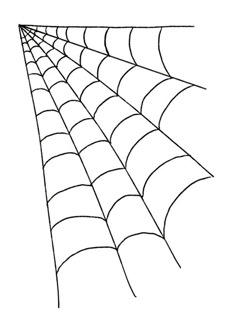 Watercolor Illustration Of A Spider Web Png