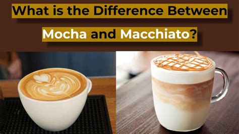 What Is The Difference Between Mocha And Macchiato Find Out Now