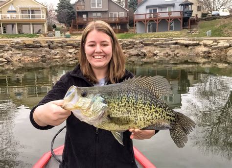 Lake Of The Ozarks Fishing Report 2019 - Unique Fish Photo