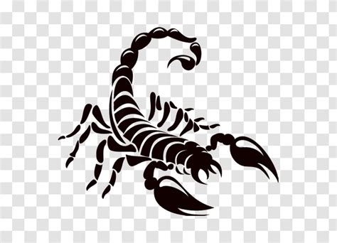 Scorpion Logo Drawing Arthropod Scorpions Transparent Png