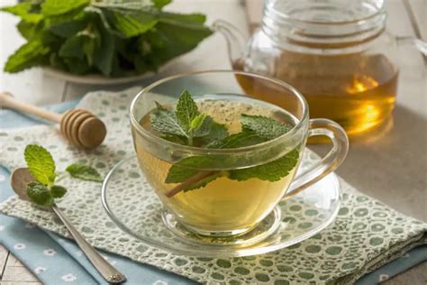 Como Preparar O Chá De Hortelã - Chá de Hortelã: Refrescância e Benefícios em Cada Xícara | Blog Receita ...
