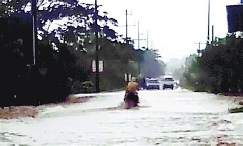 Lluvias dejan un muerto 603 casas inundadas y daños agro