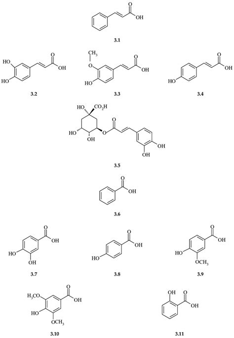 Structures and names of phenolic acids as derivatives of cinnamic acid... | Download Scientific ...