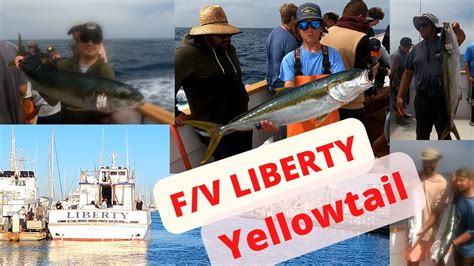 F V Liberty Part 2 Fisherman S Landing Limits Of Yellowtail Giant