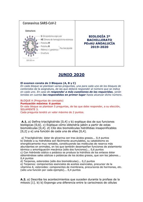 Biolog A Pevau Andaluc A Examen Junio Pdf