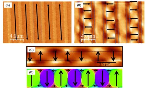 12 Magnetic Force Microscopy Mfm Measurements Done On The Fingers