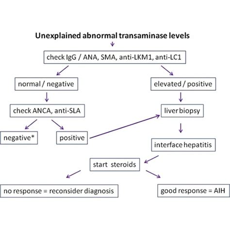 Autoimmune Hepatitis Panel | Test Price In Delhi | Cost Near Me, India | Ganesh Diagnostic