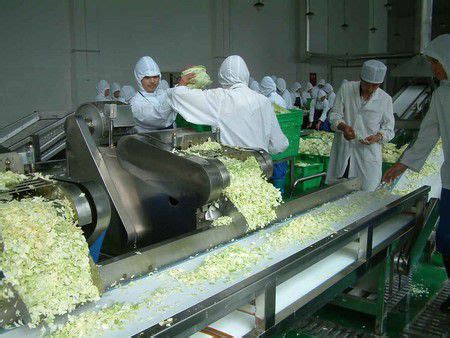 vegetable processing equipment food processing equipment supplier