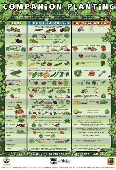 Vegetable Garden Layout Best Design Secrets Artofit