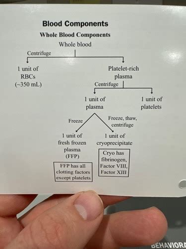 Ccrn Hematology Immunology Flashcards Quizlet