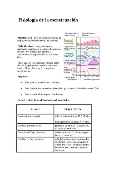 Fisiolog A De La Menstruaci N Yudoc Org Udocz
