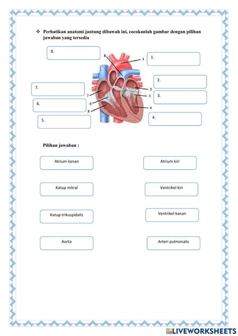 Lkpd Pt 3 Sistem Peredaran Darah Worksheet Live Worksheets