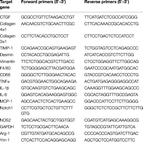 Mouse Primer Sequences Used For Quantitative Rt Pcr Download Table