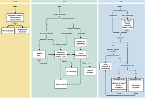 Guidelines on the management of bladder neck contracture due to radical... | Download Scientific ...