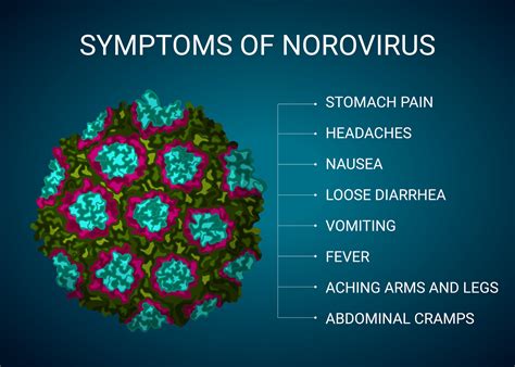 Norovirus symptoms illustration, medical infographic 32619228 Vector ...