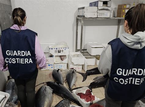 Guardia Costiera A Catania Sequestrati Chilogrammi Di Prodotti Ittici