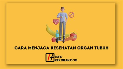 5 Cara Menjaga Kesehatan Organ Tubuh Yang Perlu Kamu Lakukan