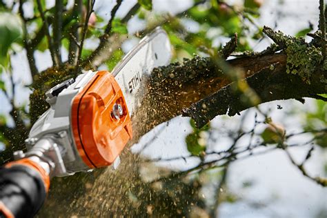 HTA 135 Podadora Em Altura A Bateria Comprar Online STIHL