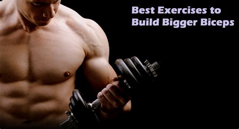 Muscle Palace Top 5 Muscle Building Biceps Exercises Build Bigger