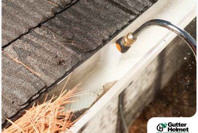 Gutter Cleaning Safety Tips