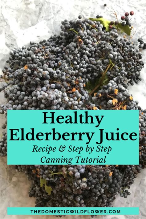 Elderberry Juice Recipe