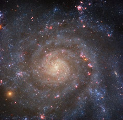 Hubble Telescope captures the bright core of a spiral galaxy (photo) | Space