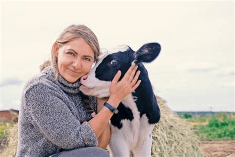 339 Calving Barn Royalty Free Photos And Stock Images Shutterstock