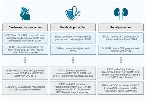 Ijms Free Full Text An Overview Of The Cardioprotective Effects Of