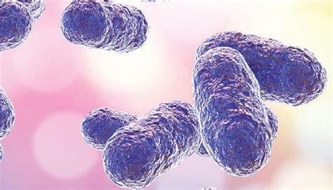 The Pathogenicity of Porphyromonas Gingivalis - Dimensions of Dental ...