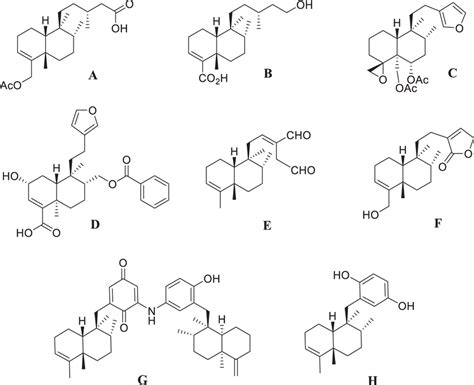 Some Clerodane Diterpenoids With Important Biological Activities