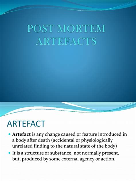 Post Mortem Artefacts Pdf Autopsy Thorax