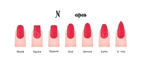 Various Nail Shapes Vector Illustration Set Beauty Glamour Female