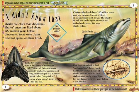 Sharks keep losing their teeth – Smiling Moon Agency