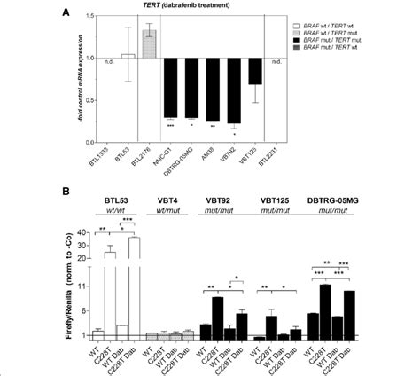 Regulation Of Tert Expression And Tert Promoter Activity Upon