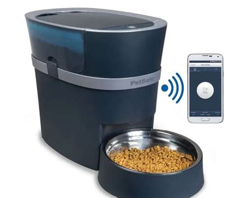 Petsafe Automatic Feeder Setup - Expert Best Guides