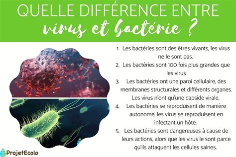 Différence entre VIRUS et BACTÉRIE DÉCOUVREZ LA