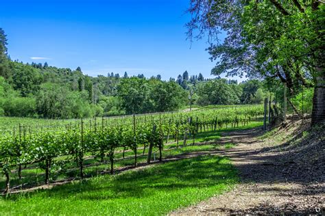 Green Valley Of Russian River Valley Wine Region Of The Day